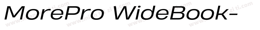 MorePro WideBook字体转换